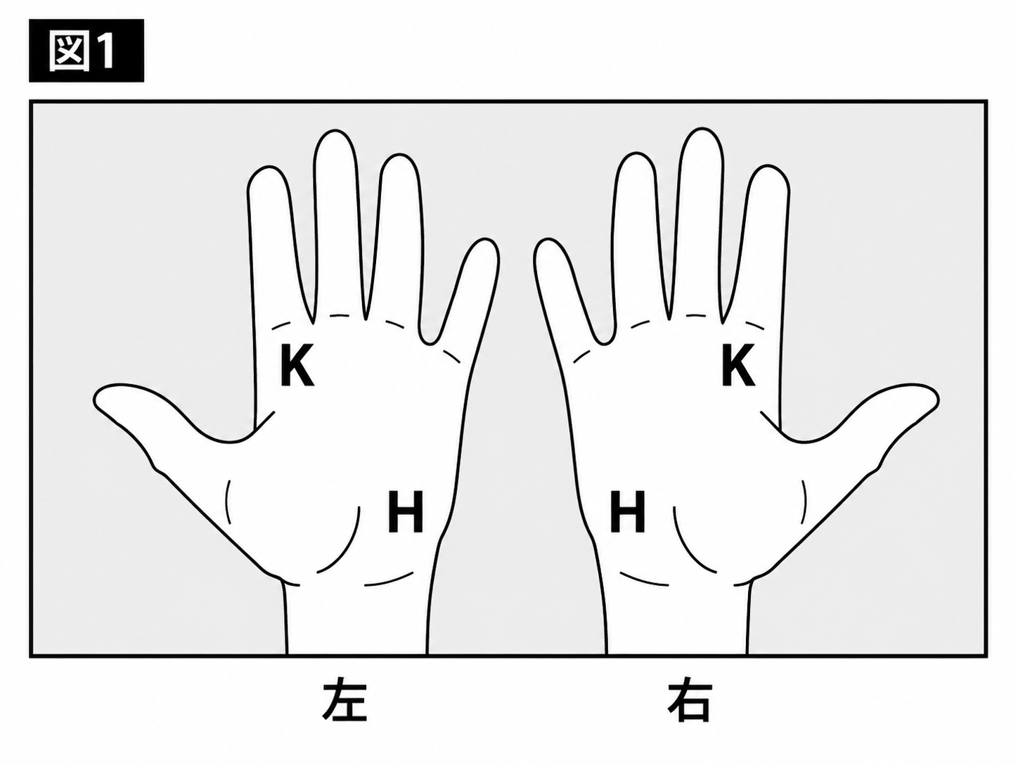 K（指の付け根側）とH（手のひら側）の基準点を示すハンド図